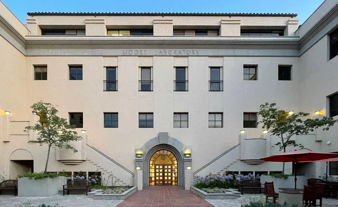 Caltech - Moore Walk